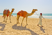 Jumeirah Beach Images