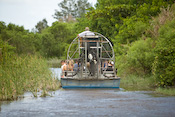 Florida Everglades Images