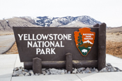 Yellowstone Park  Images